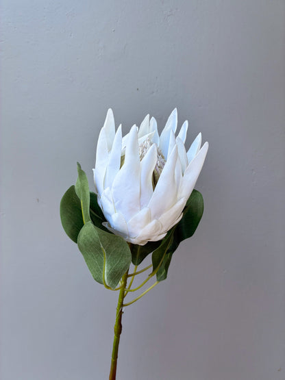 Artificial Protea White