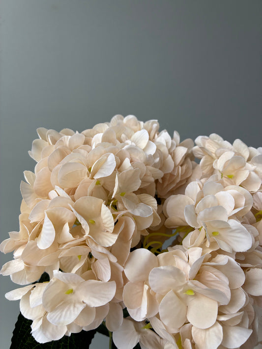 Artificial Hydrangea Bunch Champagne Cream Silk