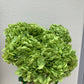 Artificial Real Touch Hydrangea Green