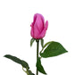 Artificial Real Touch Rose Bud Hot Pink