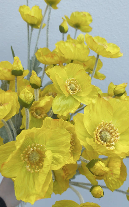 Charisme du coquelicot artificiel 