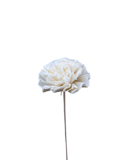 Sola Flower Carnation