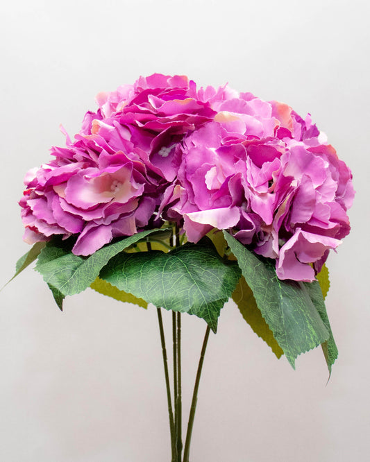 Bouquet d'hortensia-prune