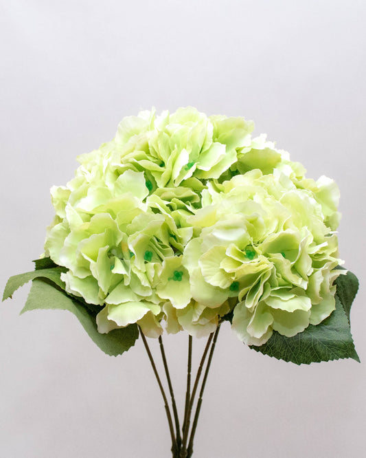 Bouquet d'hortensias-vert