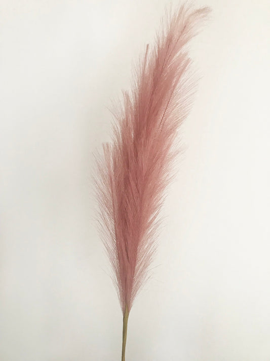 Pampas-Dusty Pink