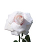 artificial blush rose