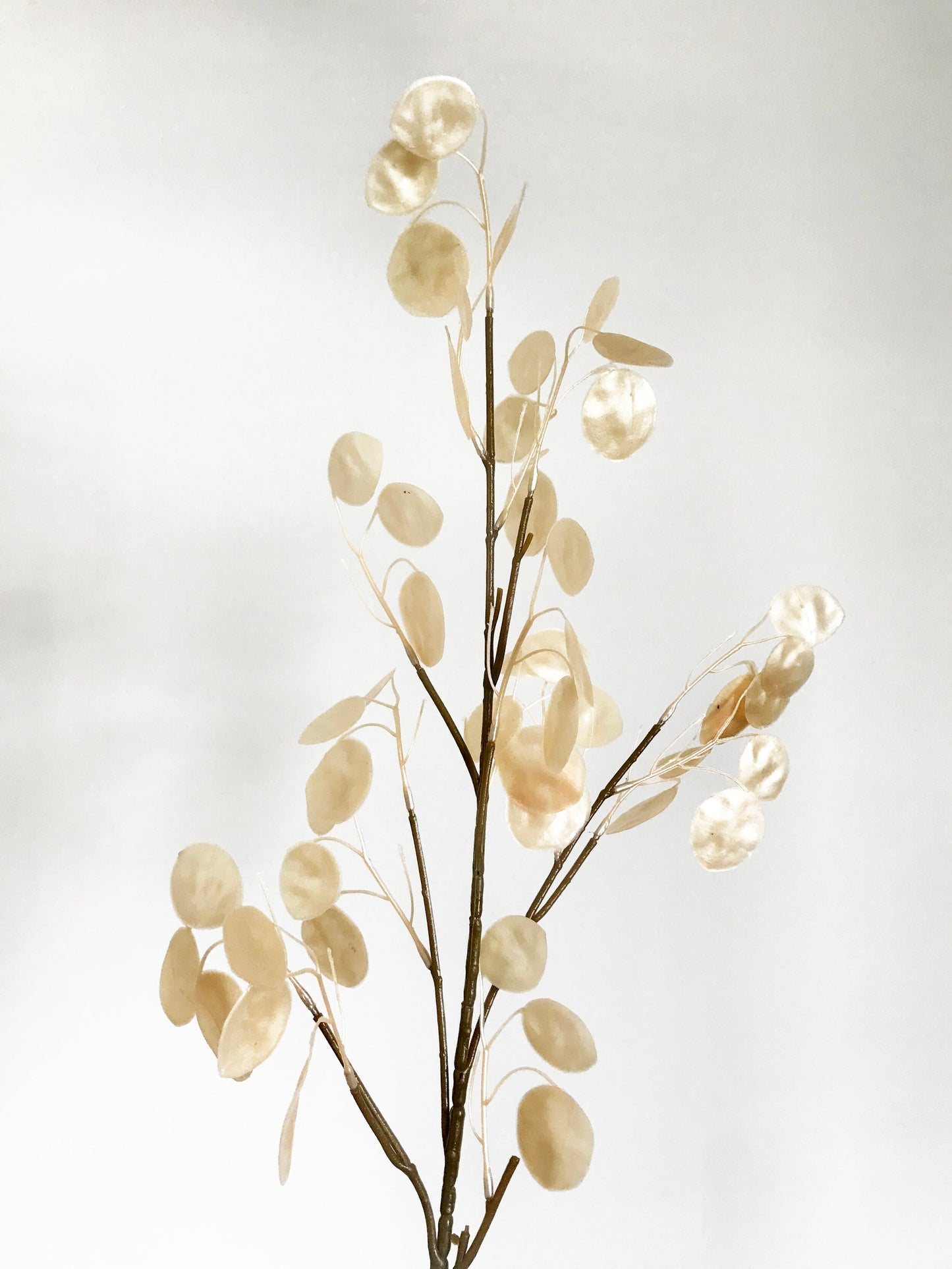 Pearl Foliage-Cream