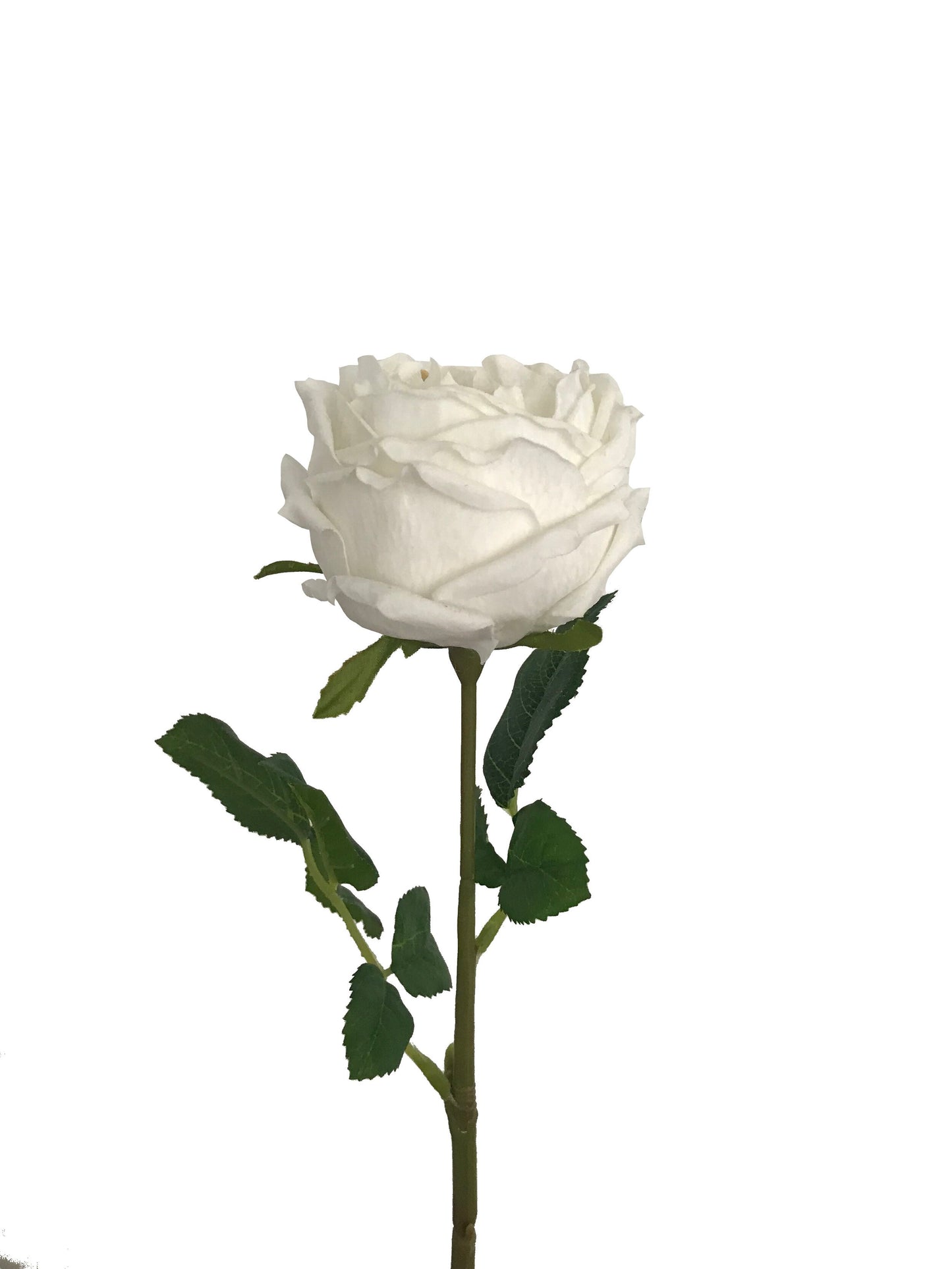 Artificial Peony Real Touch White