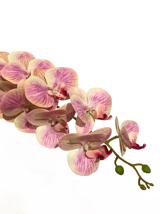 Orquídea Phalaenpsis-Real Touch Rosa