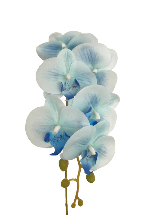 Orquídea Phalaenopsis Real Touch-Azul