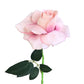artificial rose peach, pink