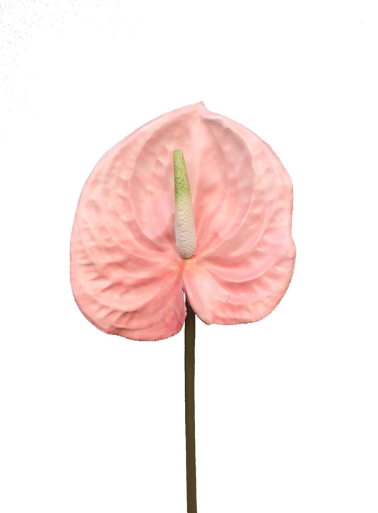 artificial anthirium pink australia