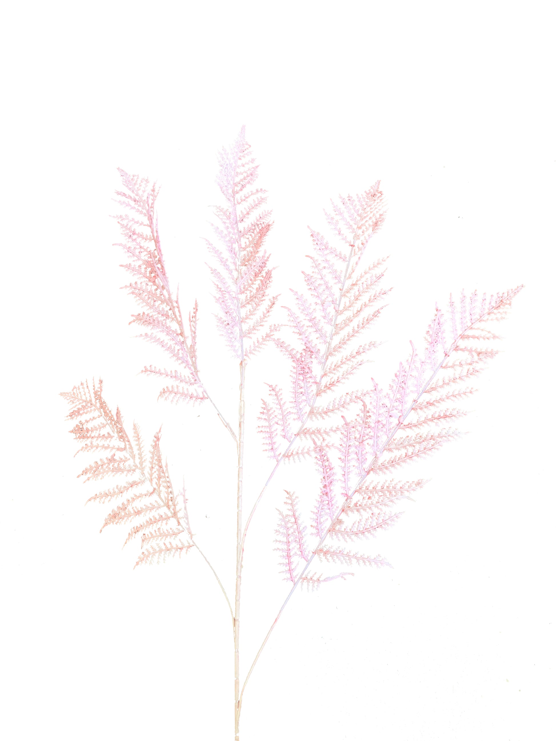 artificial fern pink