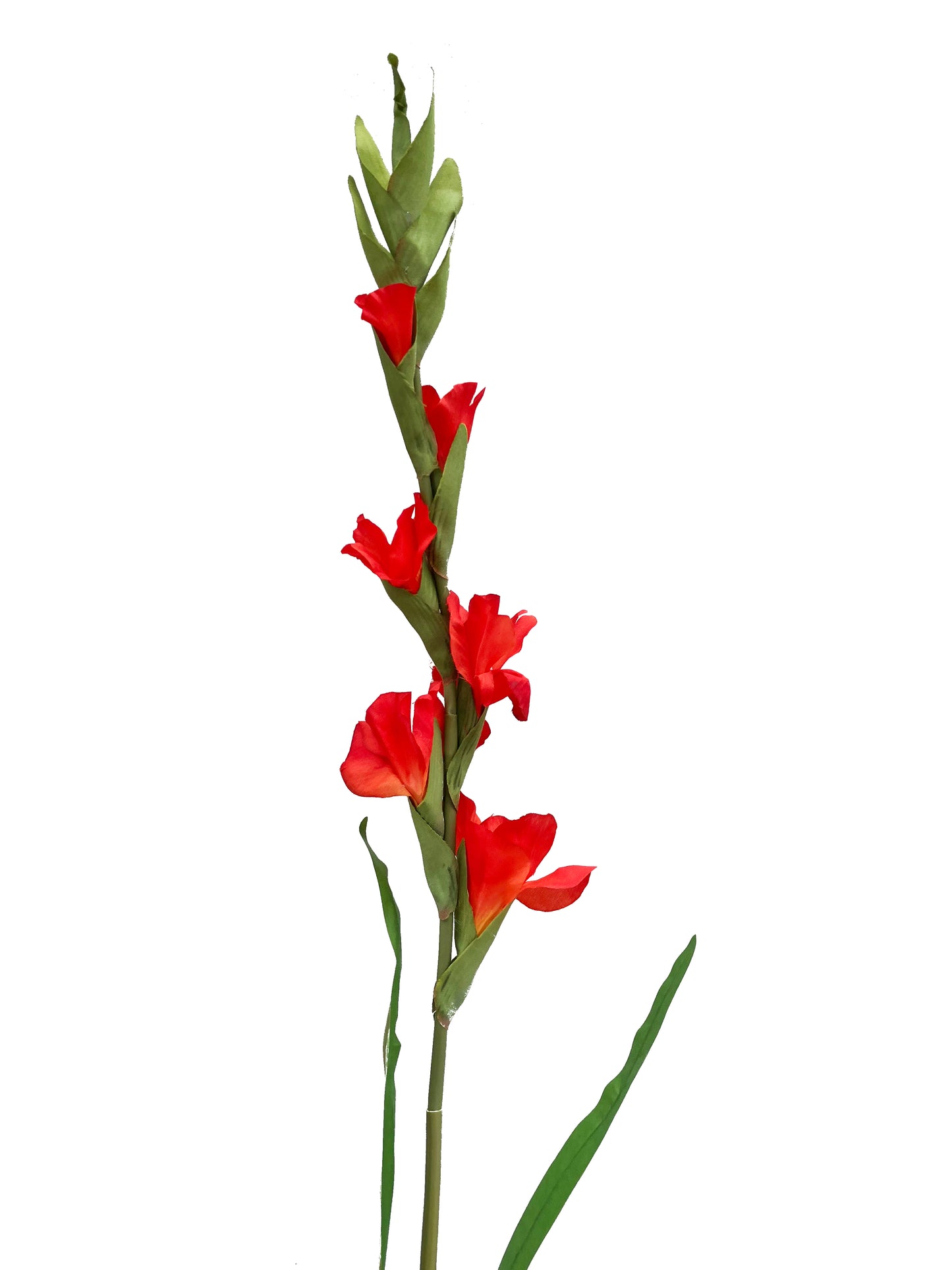 artificial gladiolus red