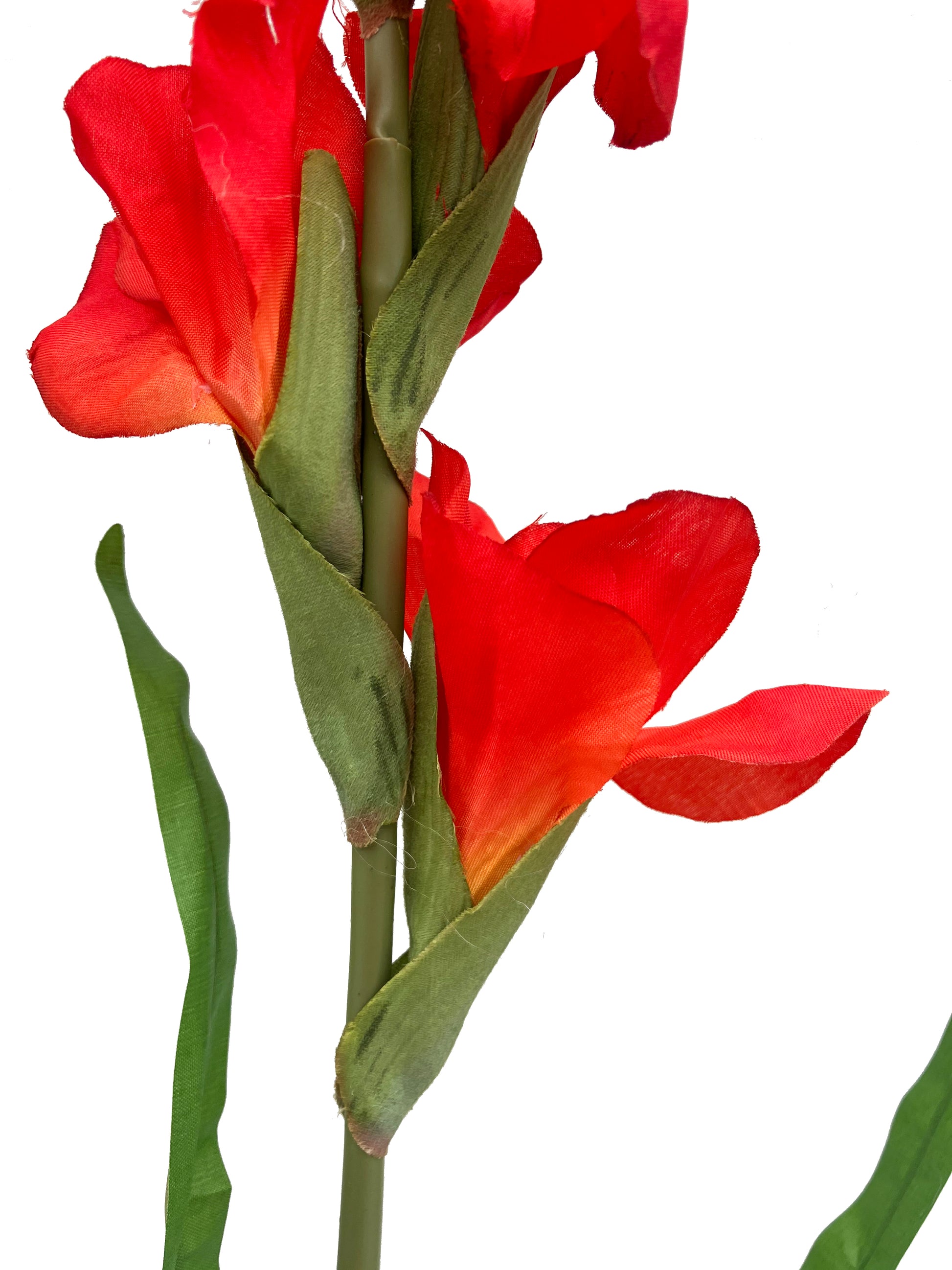 artificial gladiolus red Australia 