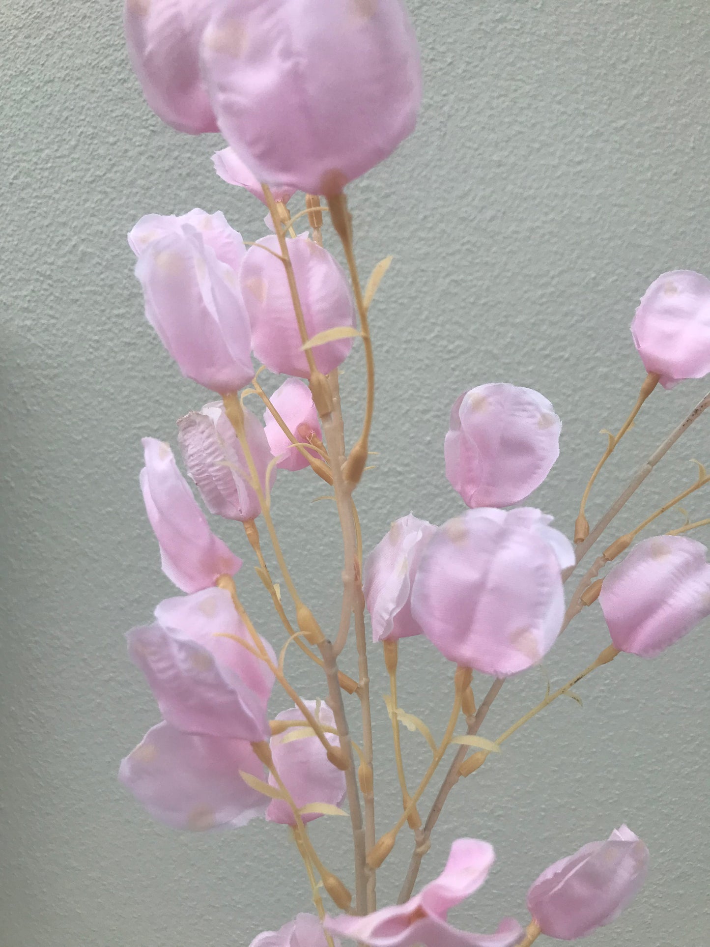 Lantern Flower-Pink