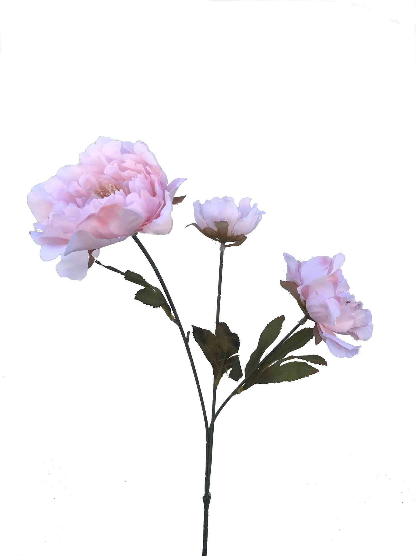 Pivoine Spray Large-Rose Clair