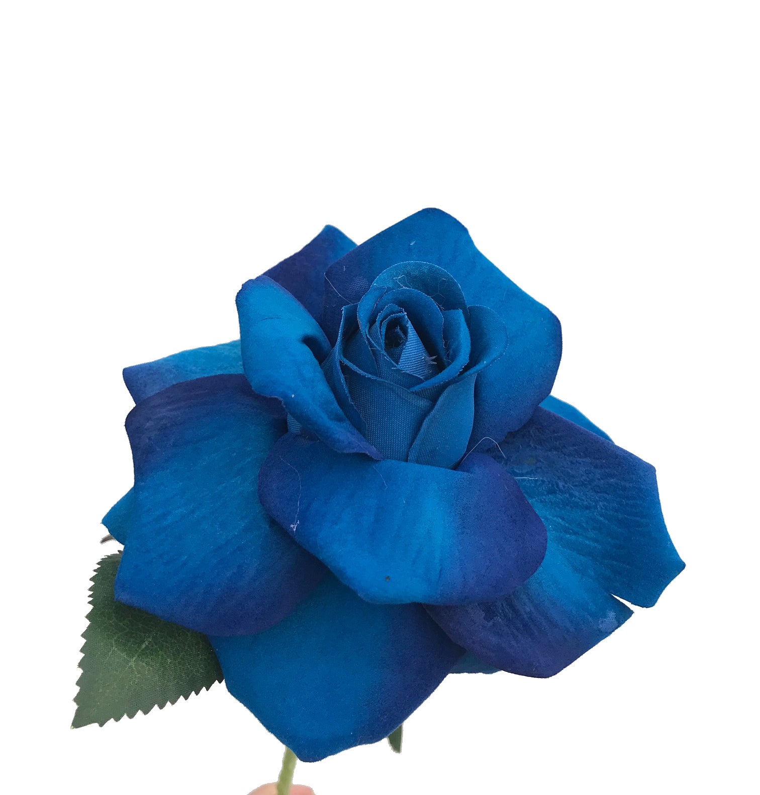 silk blue roses australia