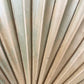 Dried palm (mini) close up
