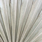 Dried sun palm close up