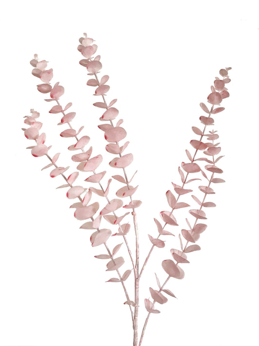 Eucalyptus-Pink