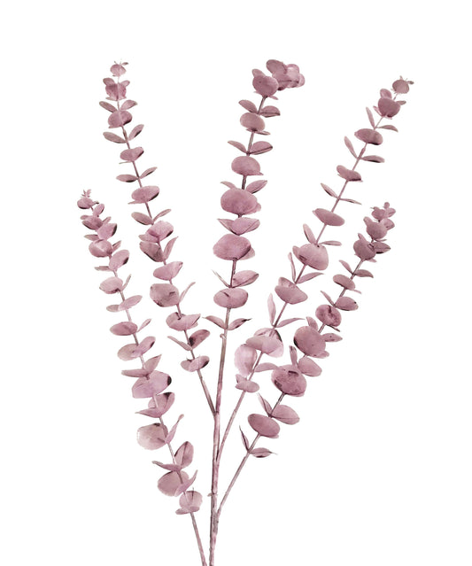 Eucalyptus-Violet
