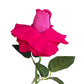 artificial hot pink roses