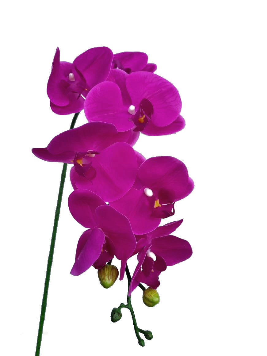 fake orchid real touch hot pink