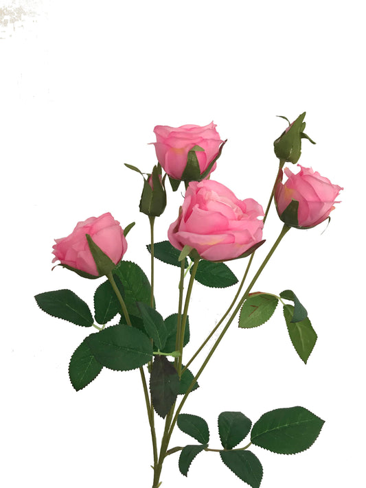 Rose Spray-Rose
