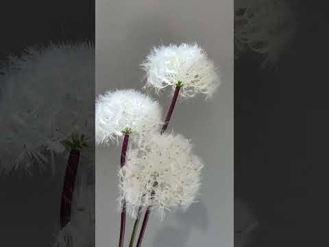 here is a video of a large dandelion  