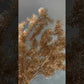 here is a brief video showing you what a artificial greenery gold foliage is 