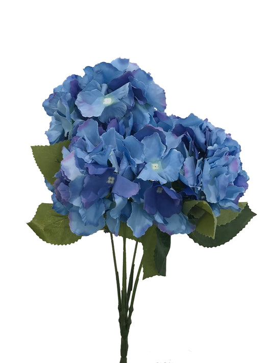 Bouquet d'hortensias-bleu