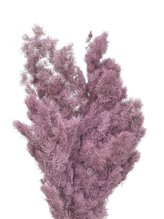 Dried Ming Purple