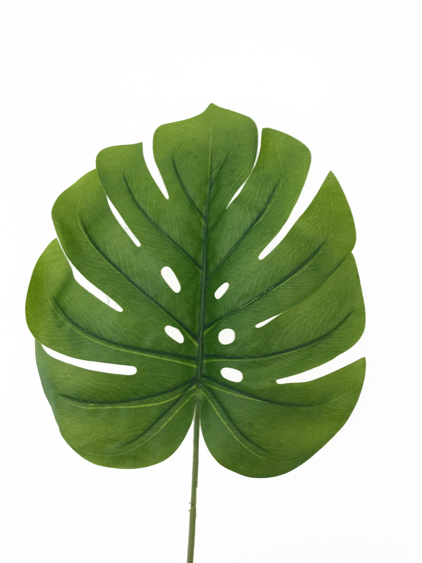 Hoja de Monstera artificial