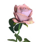 silk roses nude