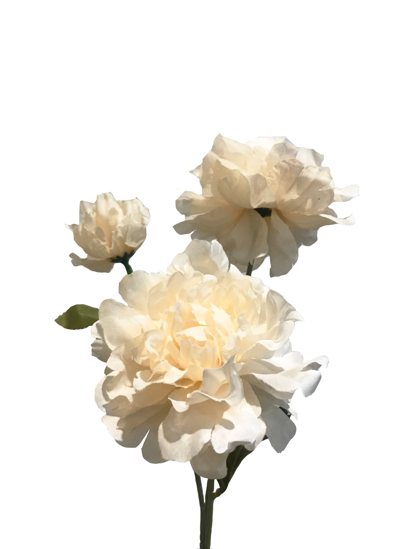 Peony Spray Large-Cream