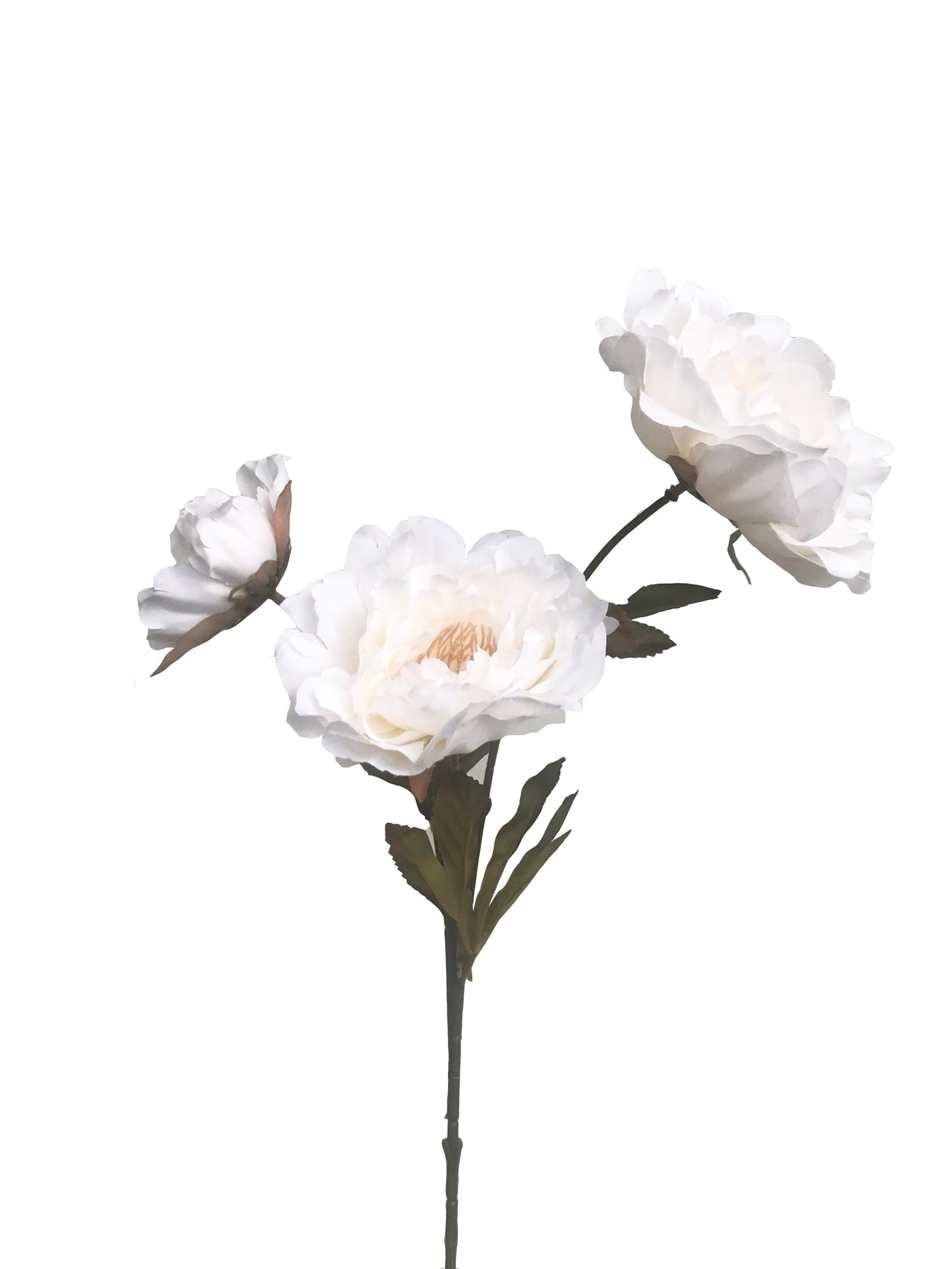 Peony Triple Large-Off White