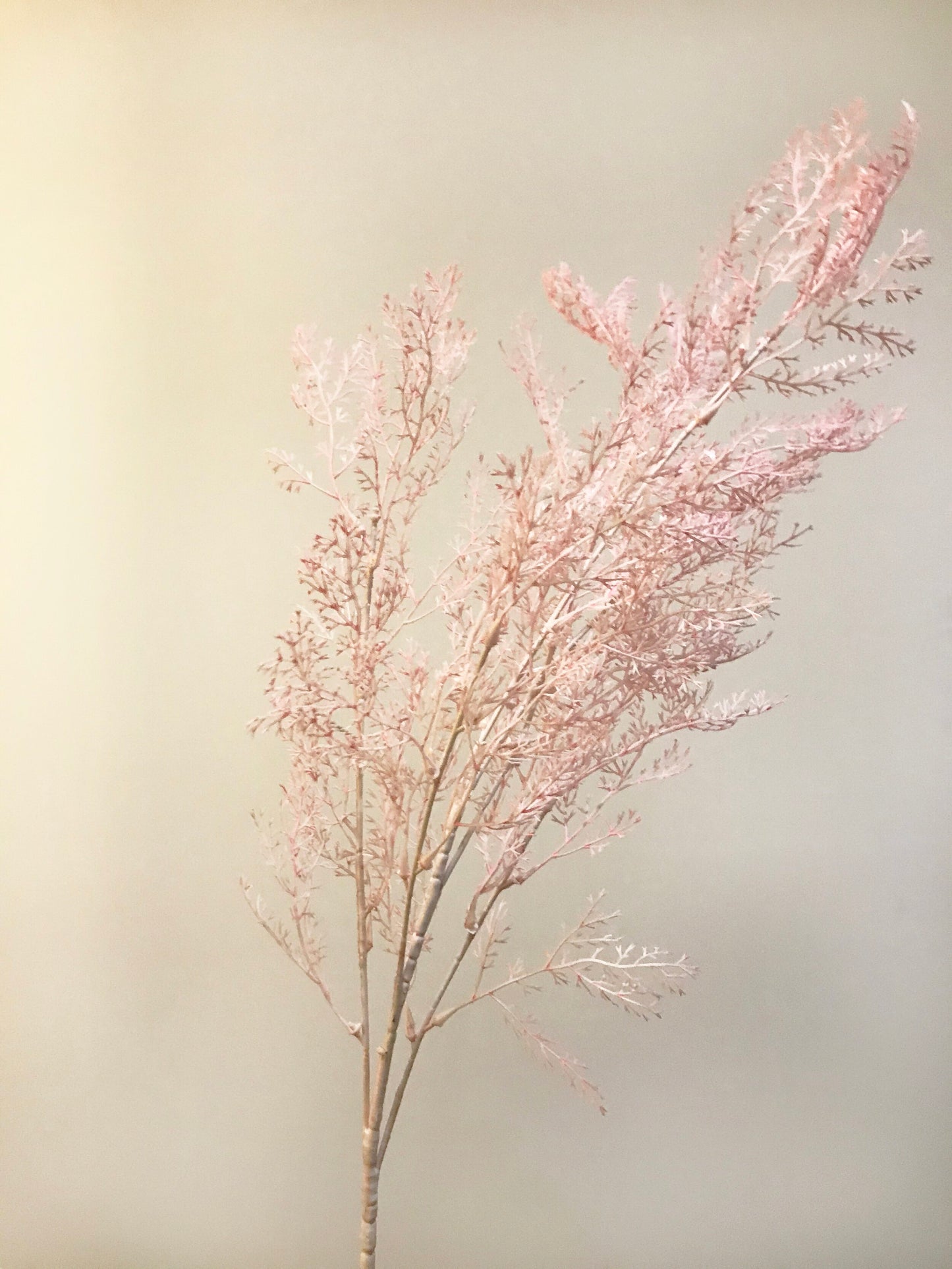 Foliage-Pink