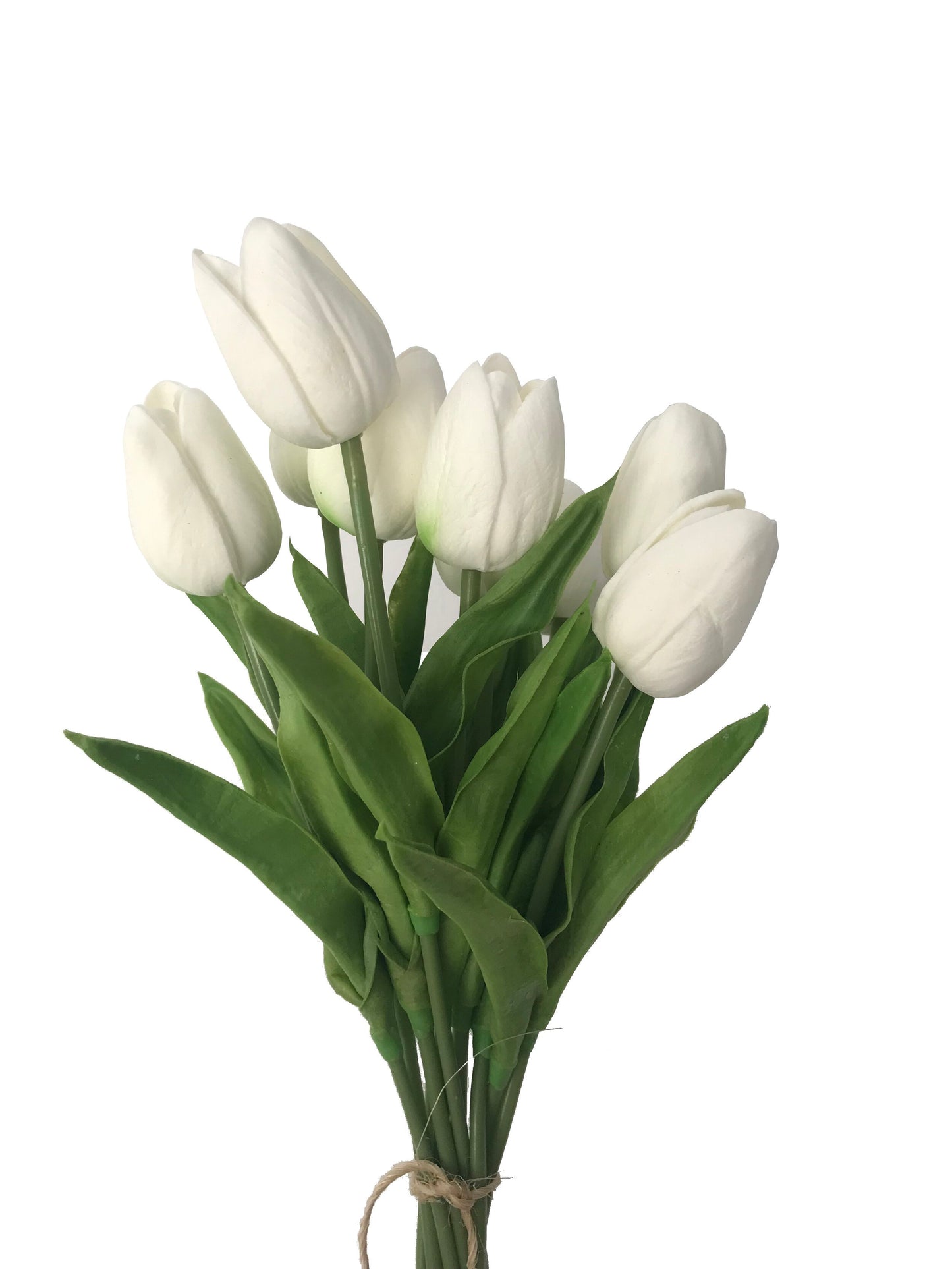 Tulip Bunch-White
