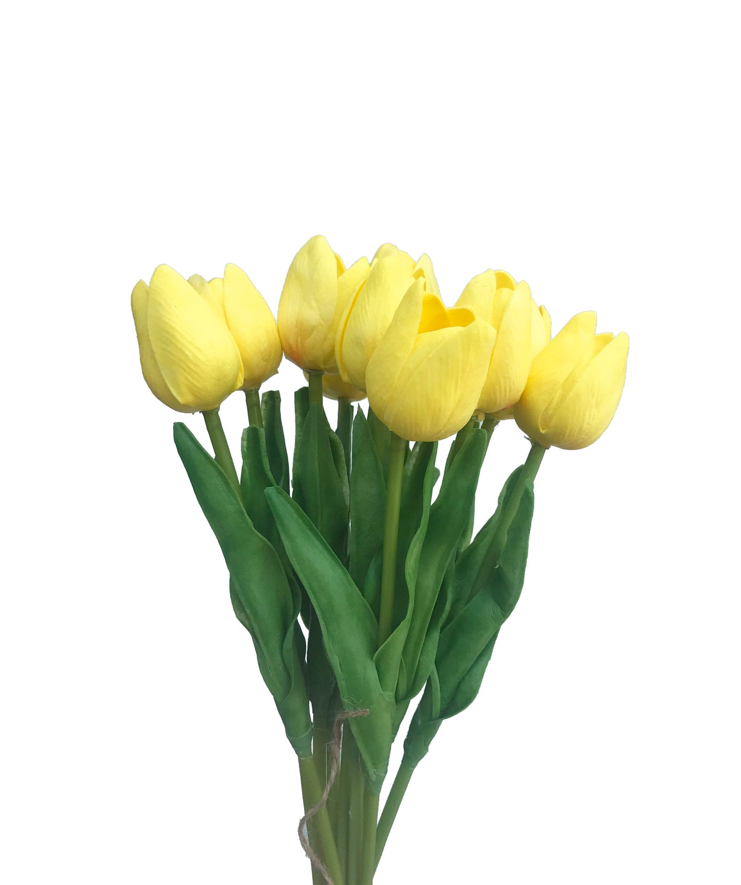 Tulip Bunch-Yellow