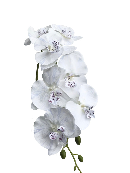 Soie Orchidée Phalaenopsis - Blanc